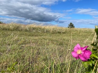 Ferienhaus Fjellerup Strand  27