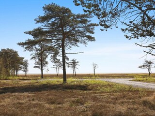 Casa per le vacanze Læsø  23