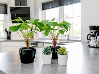 Vakantiehuis Læsø  20