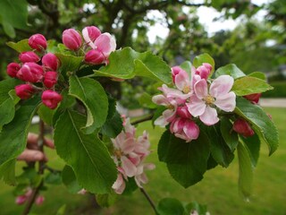 Maison de vacances Råbylille Strand  18
