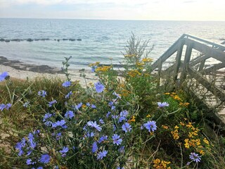 Maison de vacances Råbylille Strand  38