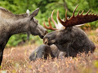 Vakantiehuis Undenäs  15