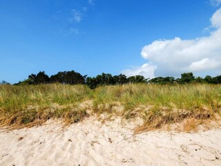 Vakantiehuis Marielyst Buitenaudio-opname 4