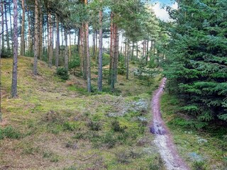 Maison de vacances Fjerritslev  24