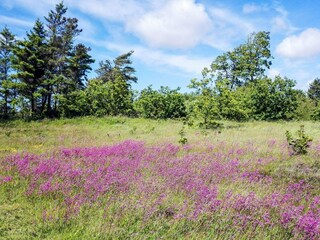 Maison de vacances Fjerritslev Enregistrement extérieur 2