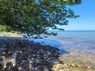 Vakantiehuis Fårevejle  18