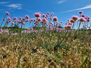 Casa per le vacanze Klitmøller  17