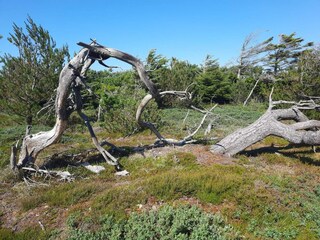 Casa per le vacanze Klitmøller  22
