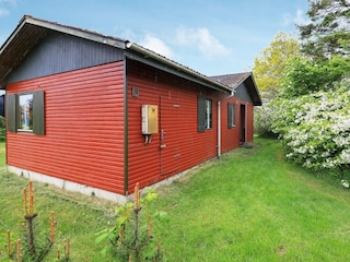 Ferienhaus Ejsingholm Außenaufnahme 4