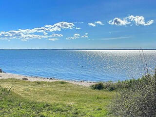 Ferienhaus Ejsingholm  10