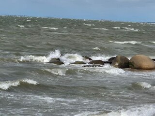 Casa per le vacanze Ejsingholm  30