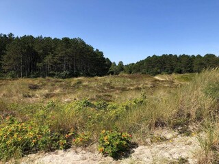 Casa per le vacanze Grenaa  11