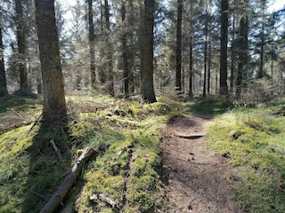 Ferienhaus Grenaa  23