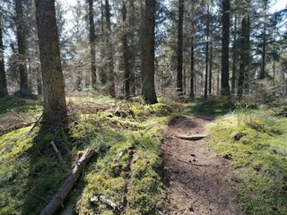 Ferienhaus Grenaa  31