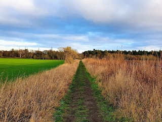 Ferienhaus Grenaa  25