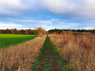 Ferienhaus Grenaa  8