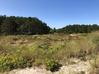 Vakantiehuis Grenaa  17