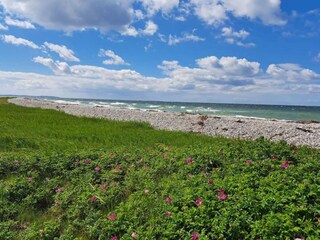 Vakantiehuis Knebel  26