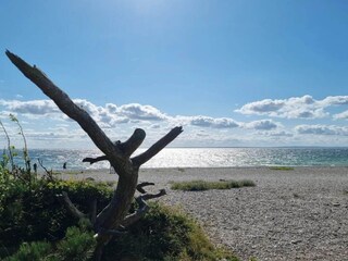 Casa per le vacanze Knebel  30