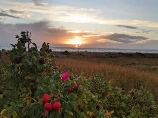 Ferienhaus Knebel  25