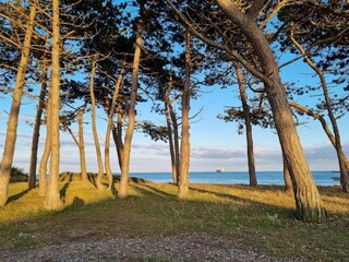 Holiday house Knebel  2