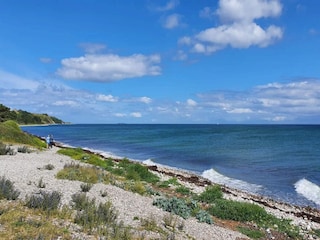 Ferienhaus Knebel  12