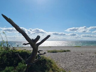 Vakantiehuis Knebel  35