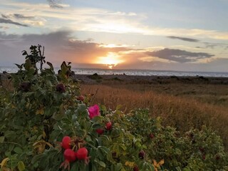 Casa per le vacanze Knebel  15