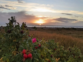 Holiday house Knebel  15