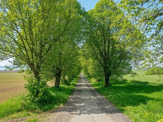Vakantiehuis Gränna Buitenaudio-opname 4