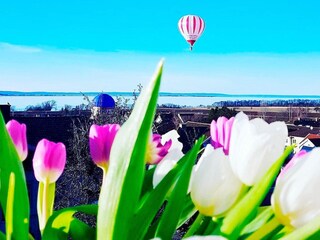 Casa per le vacanze Gränna  6