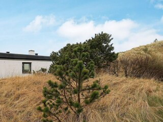 Ferienhaus Rødhus  13