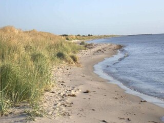 Vakantiehuis Rødhus Buitenaudio-opname 4