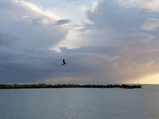 Holiday house Rødhus Outdoor Recording 2