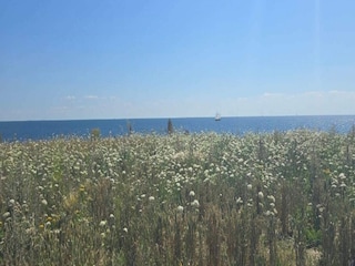 Ferienhaus Rødhus Außenaufnahme 15