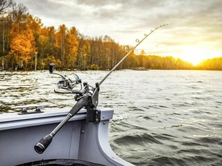 Maison de vacances Särna  7