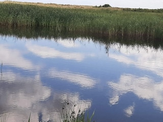 Maison de vacances Hou  26