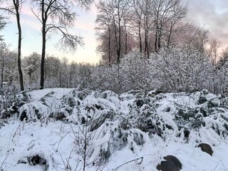 Maison de vacances Verum  25