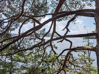 Maison de vacances Verum  28