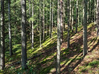 Maison de vacances Verum  19