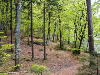 Maison de vacances Verum  12