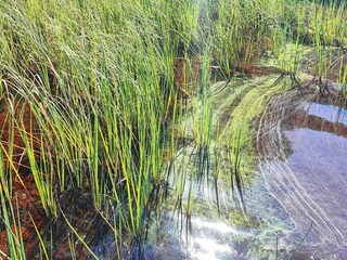 Maison de vacances Verum  27