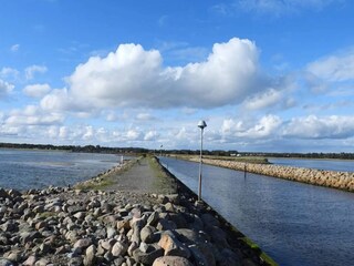 Ferienhaus Lyngså  28