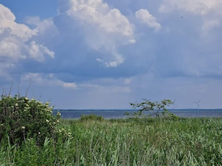 Ferienhaus Fjand  39