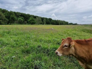 Maison de vacances Tuse Næs  22