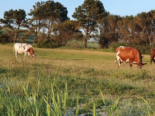 Maison de vacances Tuse Næs  12