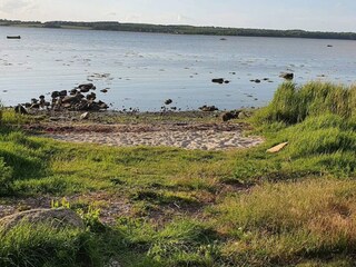 Maison de vacances Tuse Næs  24