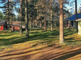 Vakantiehuis Schweden Buitenaudio-opname 4