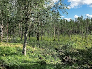 Ferienhaus Schweden Außenaufnahme 2