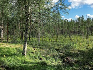 Vakantiehuis Schweden Buitenaudio-opname 2